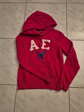 Pink AE Logo Hoodie with Eagle Graphic